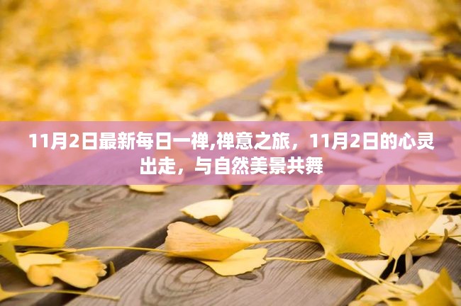 禅意之旅，心灵出走与自然美景共舞——每日一禅，11月2日特别篇