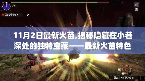 揭秘11月2日最新火苗，小巷深处的独特宝藏——特色小店探秘