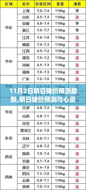 明日猪价预测与心灵之旅，探寻内心平静的探险之旅