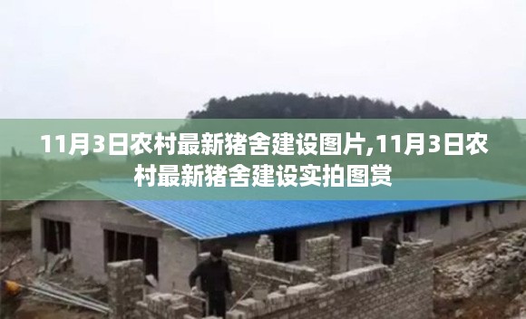 农村最新猪舍建设实拍图赏，11月3日更新