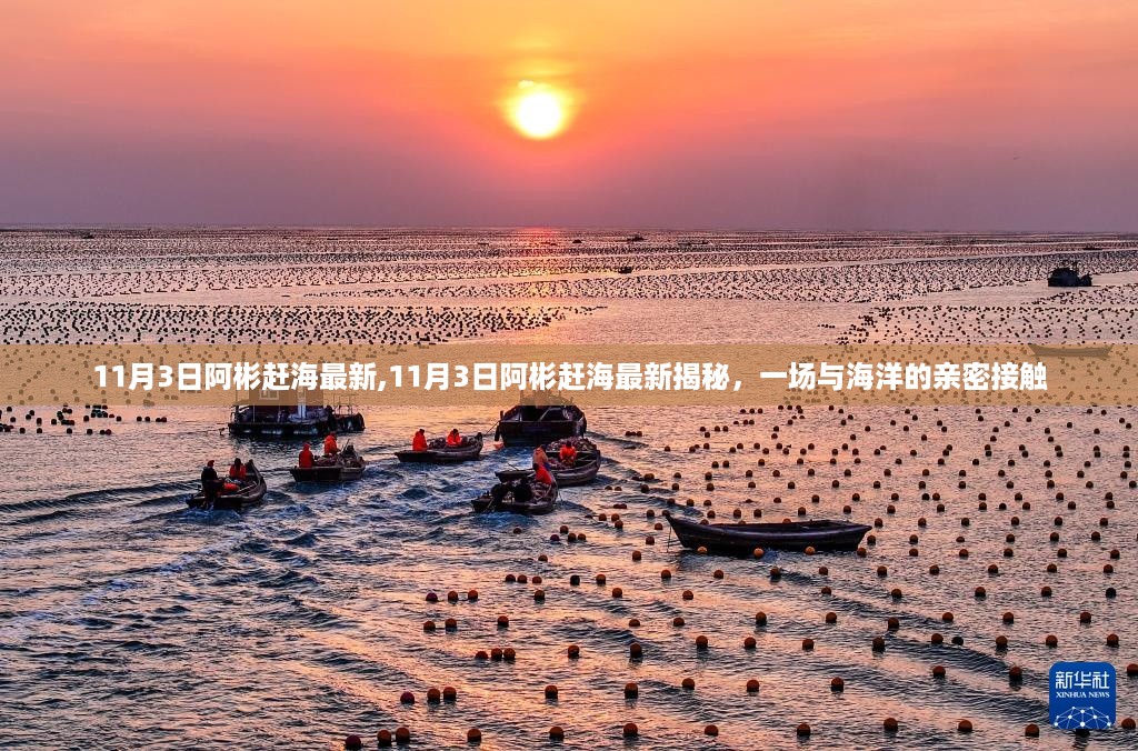 揭秘赶海新篇章，阿彬与海洋的亲密接触之旅（最新赶海实录）