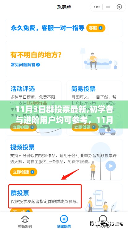 初学者与进阶用户指南，11月3日群投票最新步骤详解