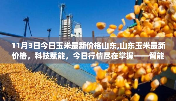 山东玉米最新价格动态，科技赋能的智能玉米市场前沿体验