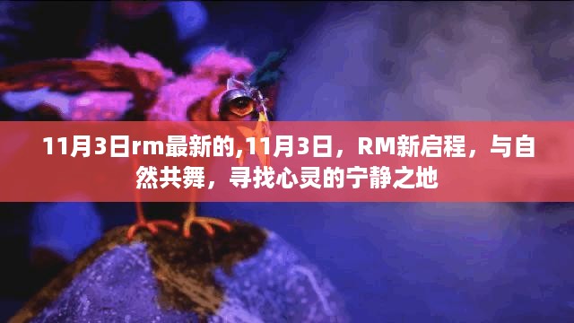 RM新启程，与自然共舞，心灵宁静之地的探寻