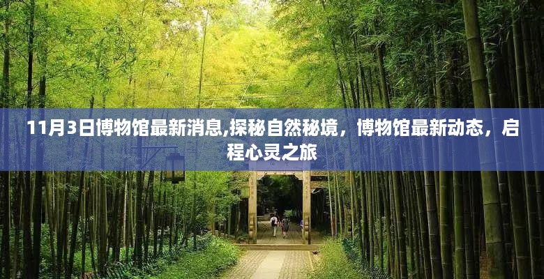 探秘自然秘境，博物馆最新动态启程心灵之旅（最新消息）