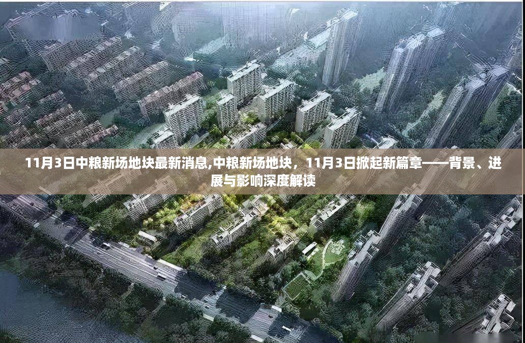 中粮新场地块最新动态，11月3日掀起新篇章——深度解读进展与影响