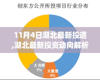 湖北最新投资动向解析，聚焦要点，展望前景（11月4日最新资讯）