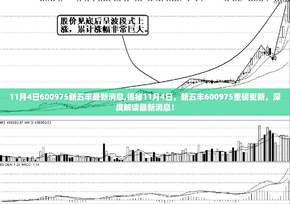 揭秘新五丰最新动态，深度解读重磅更新消息！