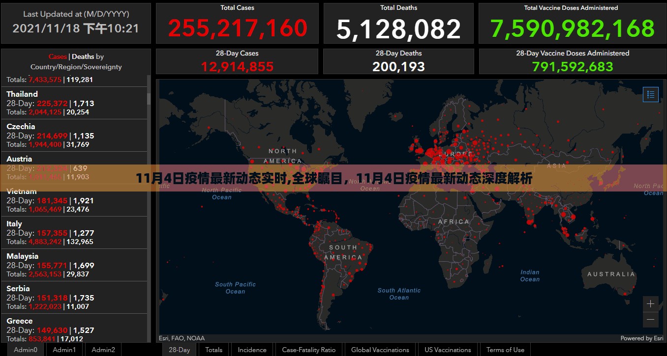 全球瞩目！11月4日疫情最新动态深度解析与实时动态更新