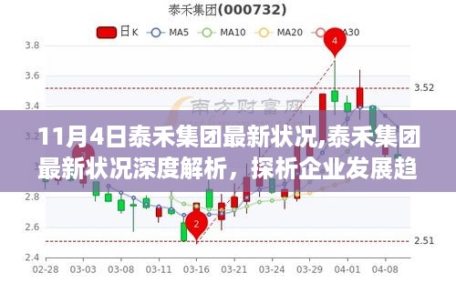 泰禾集团最新状况深度解析，企业发展趋势与个人观点探析（11月4日更新）