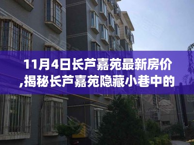 揭秘长芦嘉苑房价背后的故事，独特小店与最新房价探索之旅