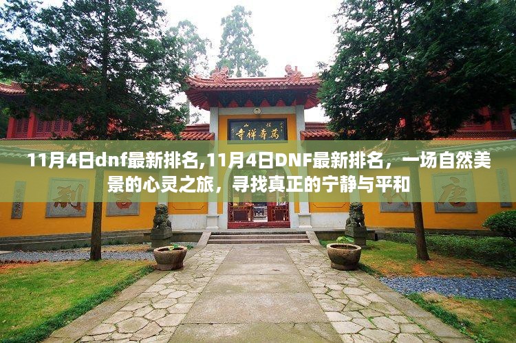 11月4日DNF最新排名，自然美景的心灵之旅，探寻真正的宁静与平和