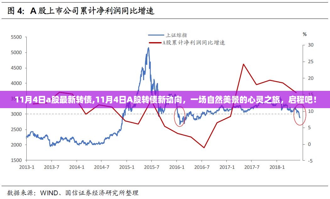 11月4日A股转债新动向，自然美景的心灵之旅启程