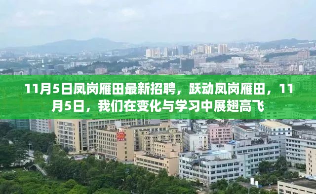 跃动凤岗雁田，最新招聘启事，展翅高飞在变化与学习的旅程