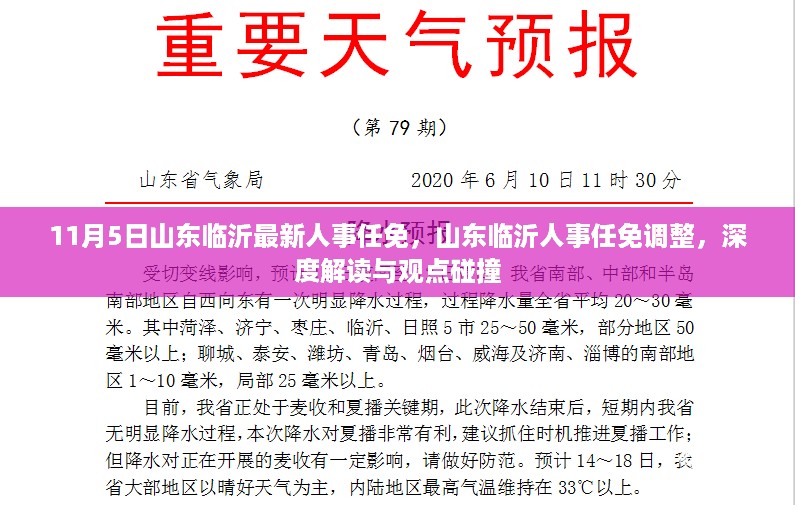 山东临沂人事任免调整深度解读与观点碰撞，最新人事任免一览（11月5日）