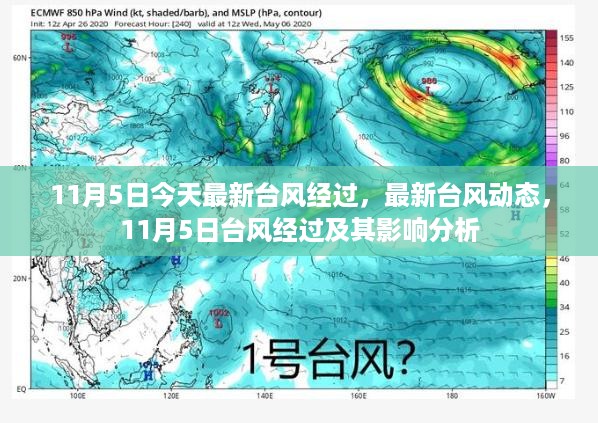 11月5日台风最新动态及影响分析，最新路径与预测影响报告