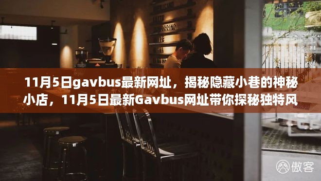 揭秘隐藏小巷的神秘小店，Gavbus最新网址探秘独特风味之旅（避免色情内容）