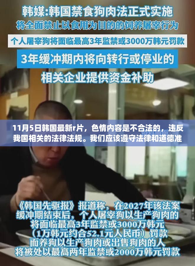 远离色情内容，寻找健康娱乐方式，正规平台与文化活动的建议