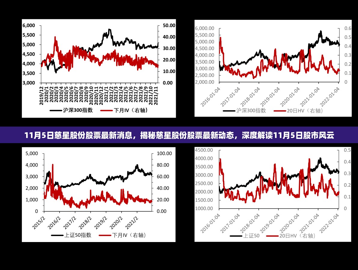 揭秘慈星股份最新动态与股市风云，深度解读股市资讯