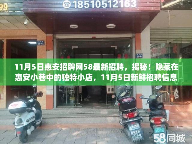 惠安小巷独特小店最新招聘信息揭秘，11月5日惠安招聘网58大揭秘！