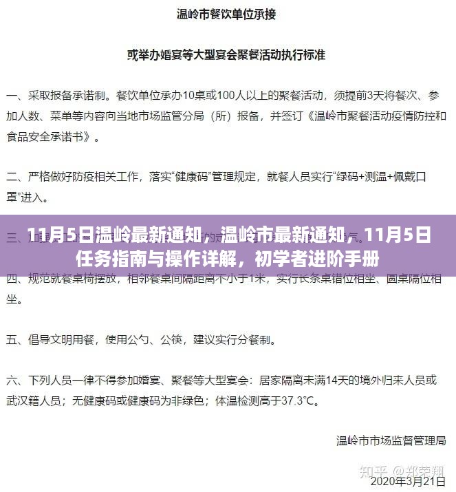 温岭市最新通知详解，任务指南与操作手册，初学者进阶手册（11月5日更新）