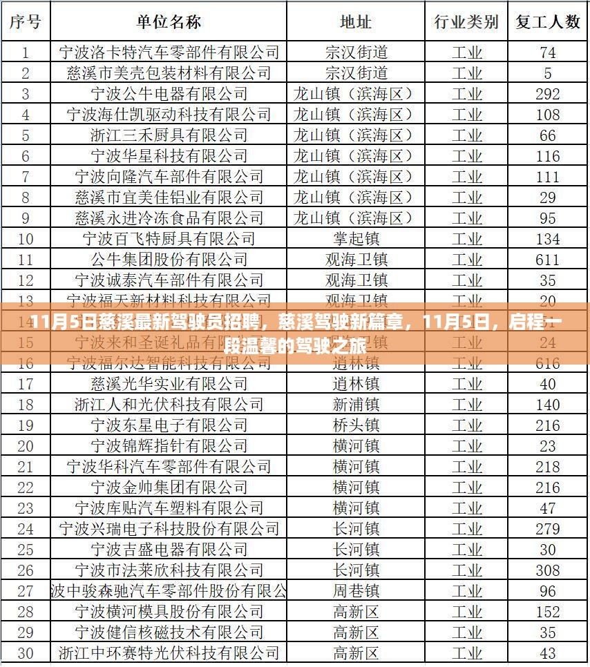 慈溪最新驾驶员招聘启幕，启程温馨的驾驶之旅，11月5日新篇章开启