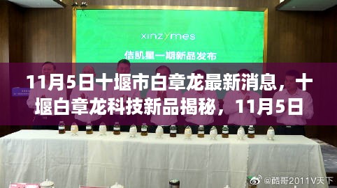 十堰白章龙科技新品揭秘，刷新智能生活体验