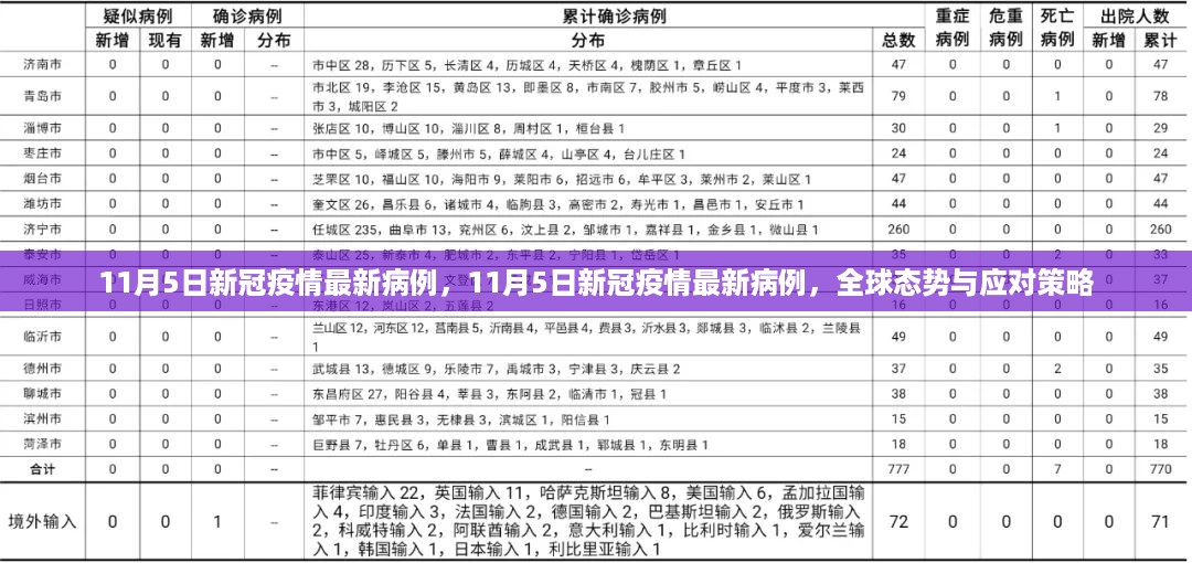 全球新冠疫情最新态势，11月5日病例更新与应对策略