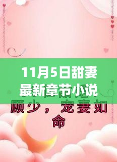 甜妻最新章节全集解析，背景、事件与当代地位揭秘