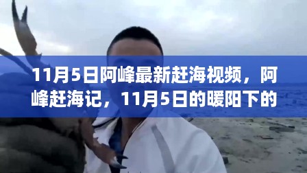 阿峰赶海记，11月5日暖阳下的海洋奇遇与温馨时光