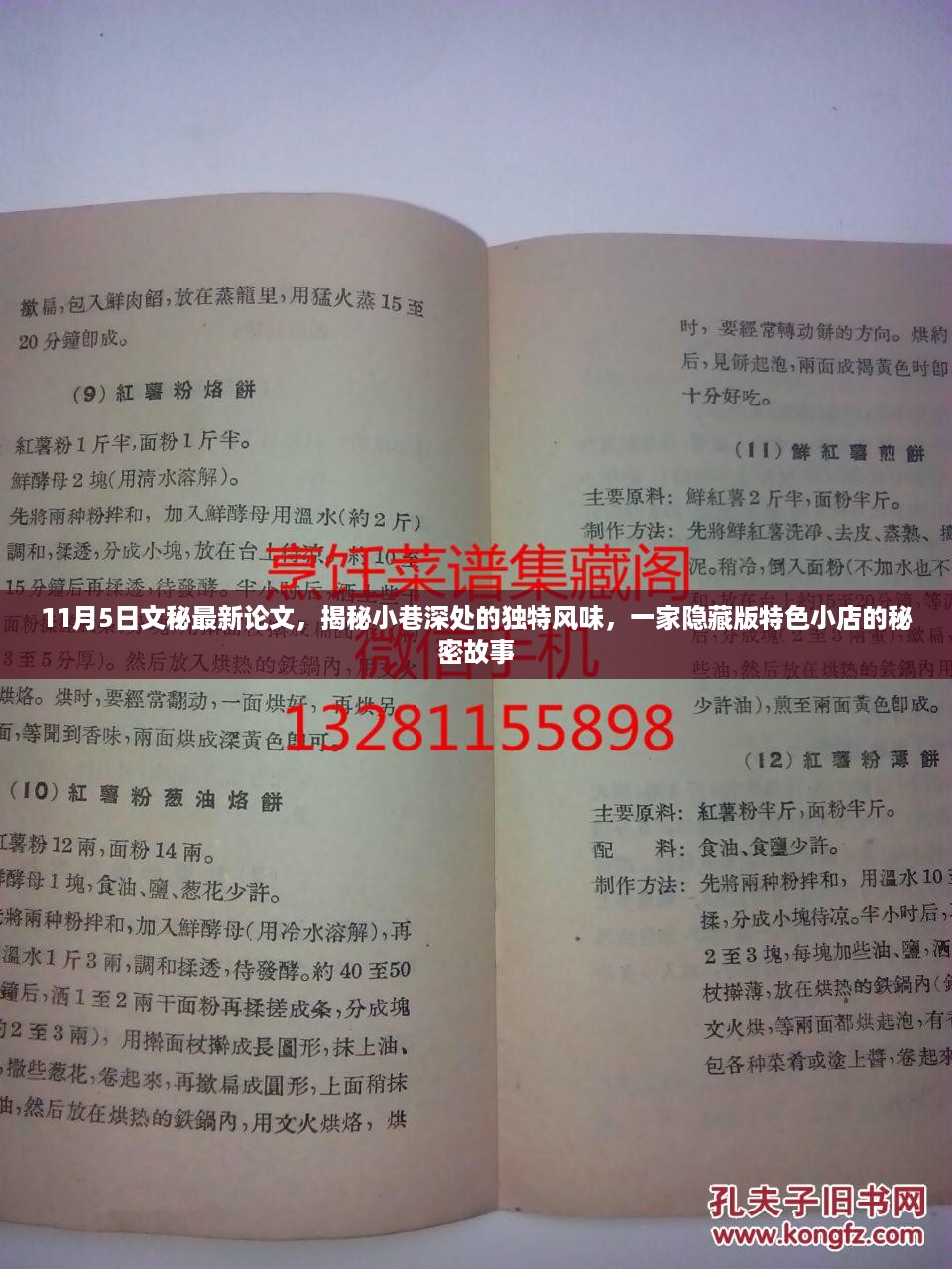 揭秘隐藏版特色小店，小巷深处的独特风味与秘密故事（最新论文）