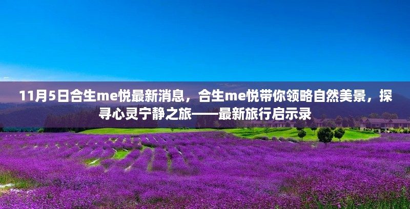 合生me悦带你探寻心灵宁静之旅，最新旅行启示录，领略自然美景的独家报道（11月5日最新消息）