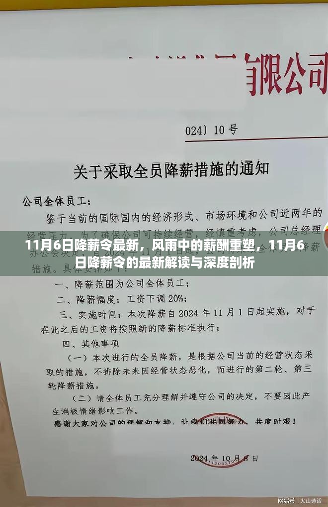 风雨中的薪酬重塑，11月6日降薪令最新解读与深度剖析