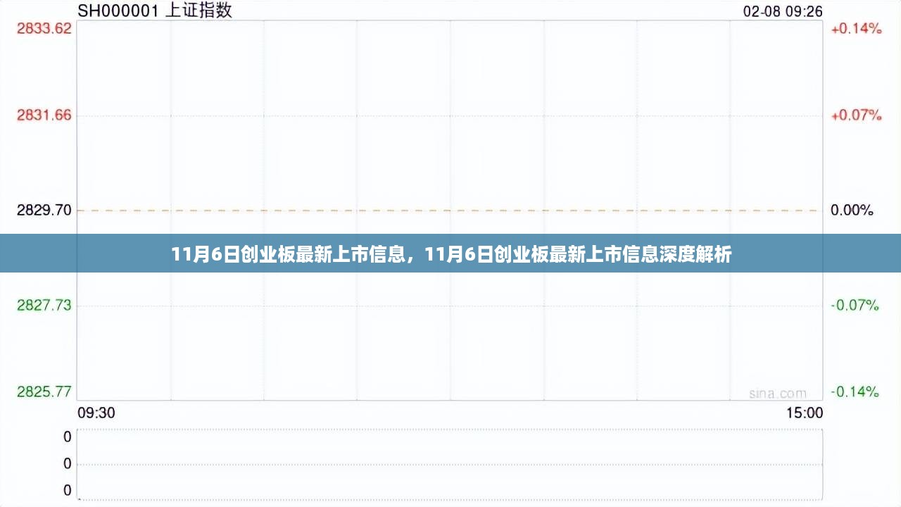 11月6日创业板最新上市信息深度解析及市场反应