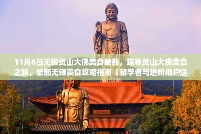 『最新无锡灵山大佛美食攻略指南，从初学者到进阶者的美食探寻之旅』