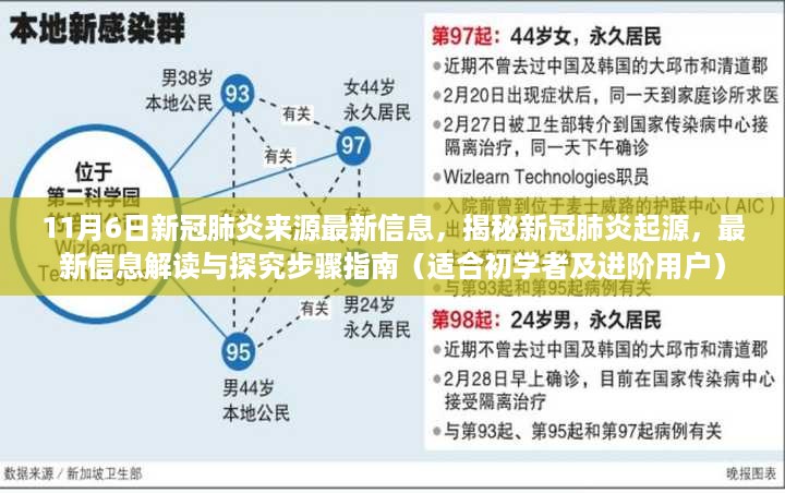 揭秘新冠肺炎起源，最新信息解读与探究步骤指南（适合初学者与进阶用户）