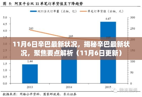 揭秘辛巴最新状况，聚焦要点解析（最新更新）