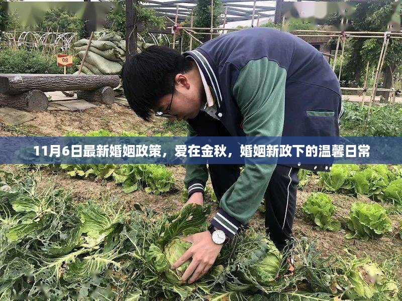 金秋婚姻新政下的温馨日常，爱在金秋的见证