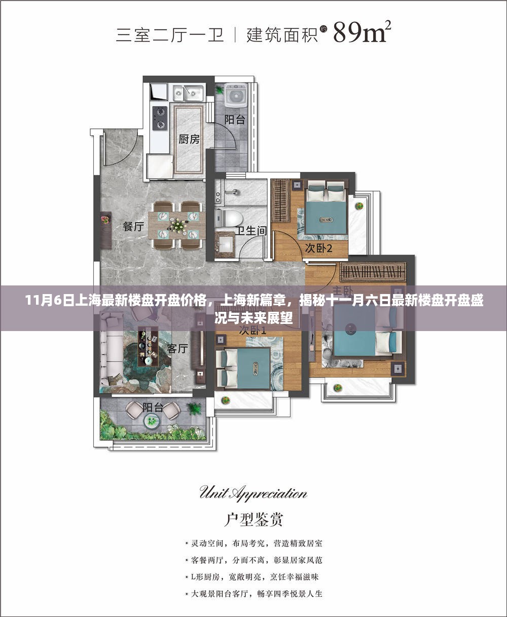 揭秘上海最新楼盘开盘盛况，十一月六日开盘价格及未来展望开启新篇章