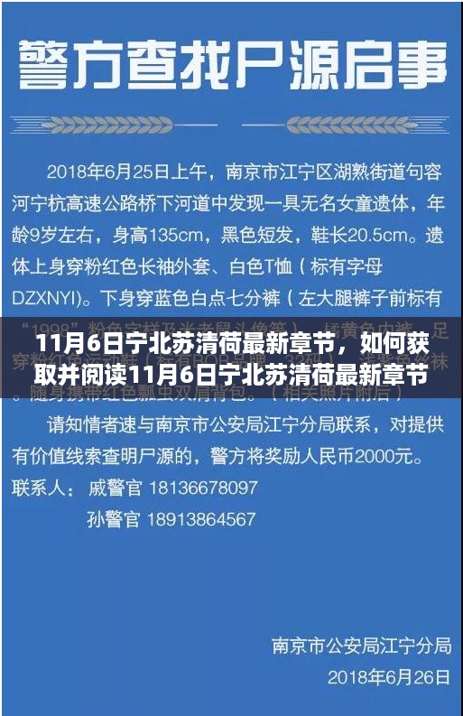 11月6日宁北苏清荷最新章节获取与阅读指南（初学者与进阶用户适用）