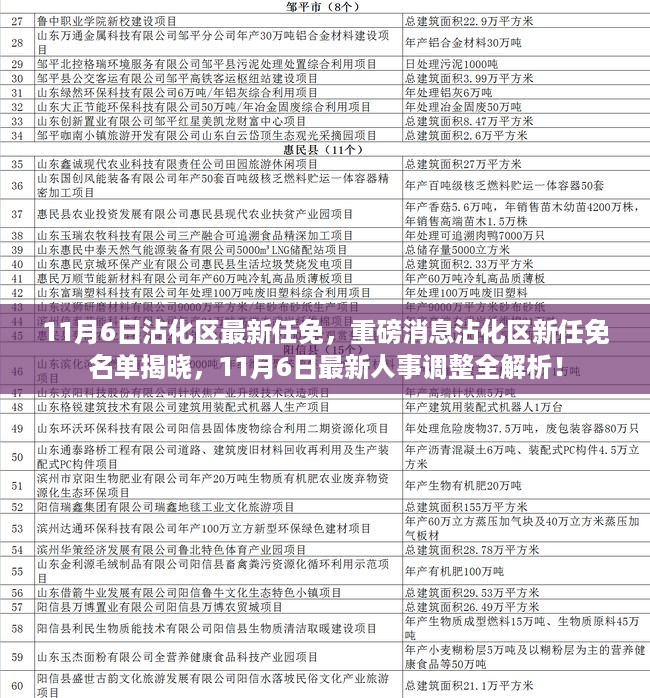 沾化区人事大调整，最新任免名单揭晓与人事调整全解析（11月6日）