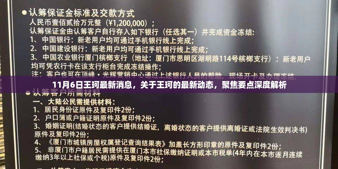 11月6日王珂最新动态深度解析，聚焦要点悉知一二