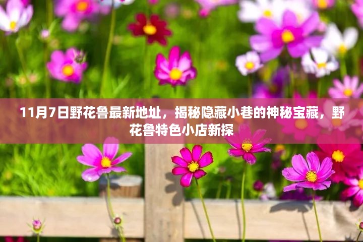 揭秘隐藏小巷的神秘宝藏，野花鲁最新地址特色小店新探