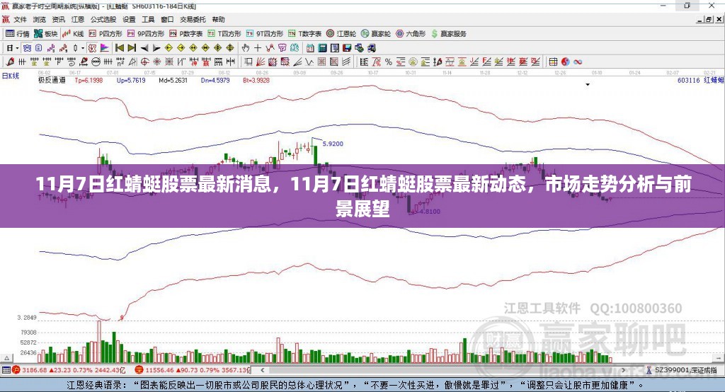 11月7日红蜻蜓股票最新动态及市场走势分析与前景展望