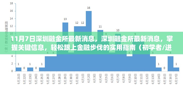 深圳融金所最新动态，实用指南助你轻松掌握金融步伐（适用于初学者与进阶用户）