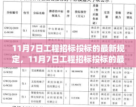 11月7日工程招标投标最新规定解析，多方观点与个人立场探讨