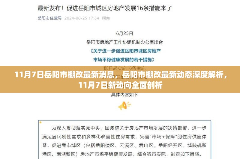 岳阳市棚改最新动态解析，深度剖析新动向（11月7日最新消息）