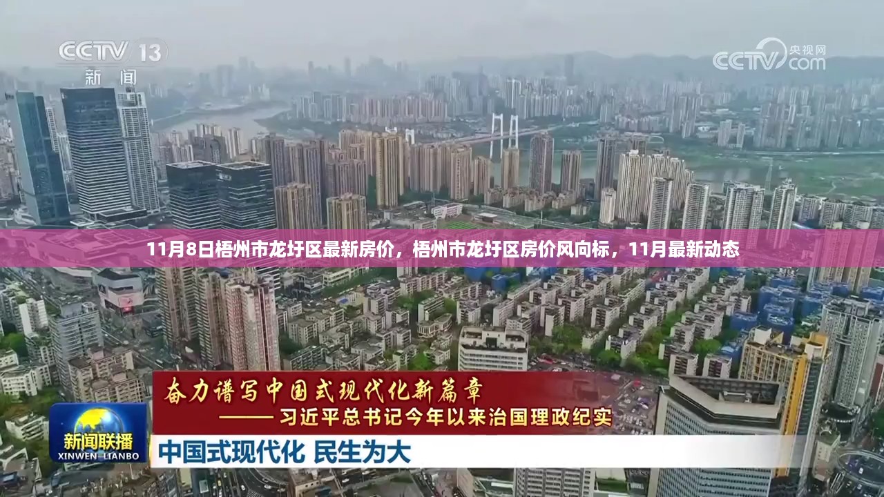 初告白 第19页