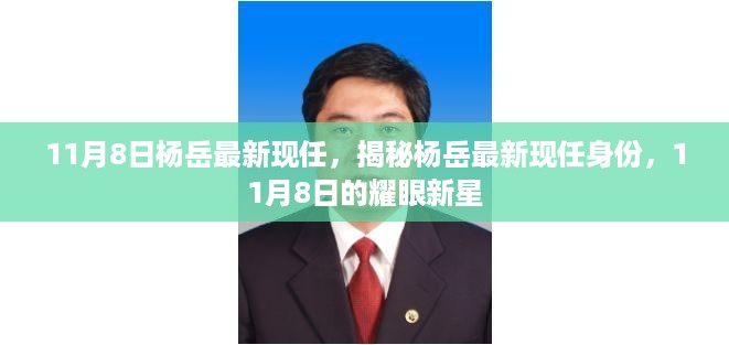 揭秘杨岳最新身份，11月8日的耀眼新星