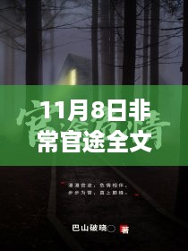 11月8日官途温馨篇章，日常官途的全新章节